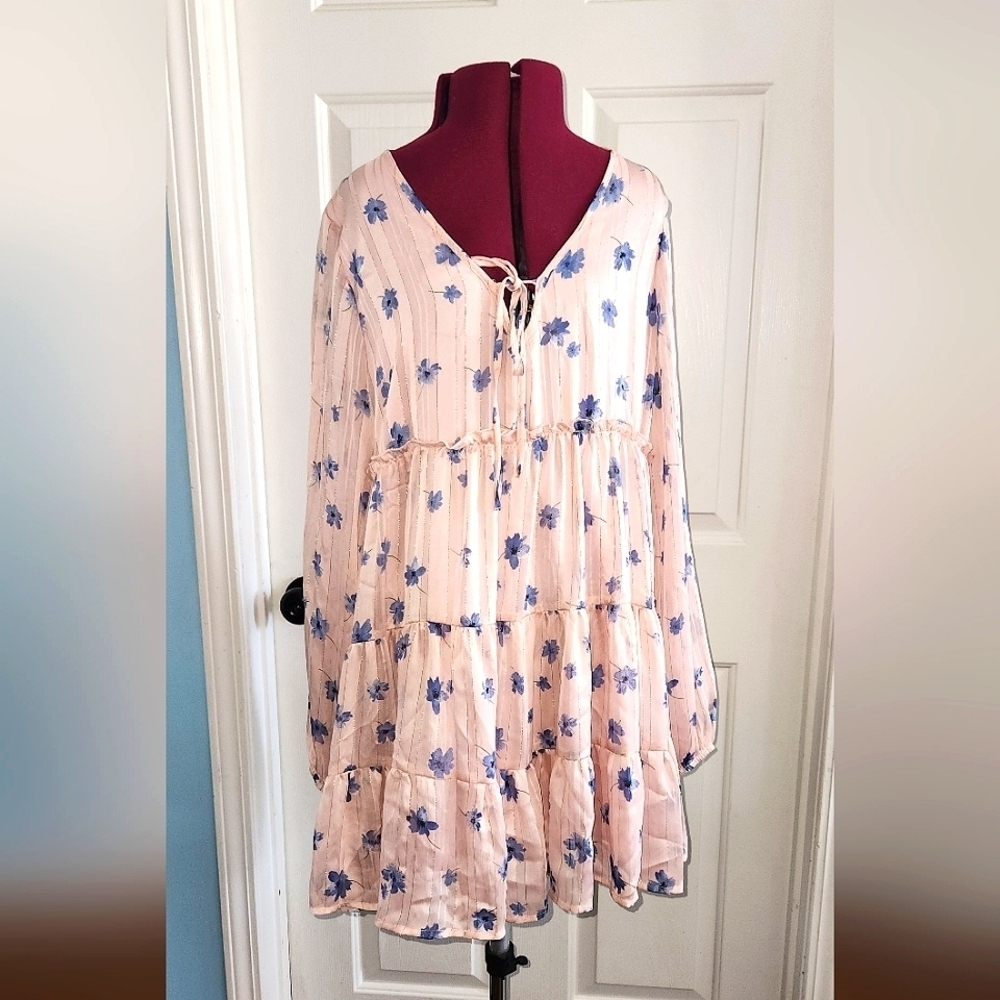 Altar'd State Blush Pink Long Sleeve Floral Babydoll Dress with Blue Flowers